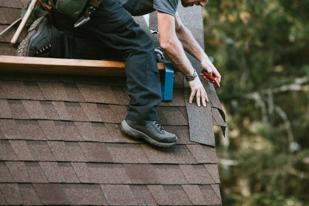 Best Roof Gutter Cleaning  in Frankl, IN